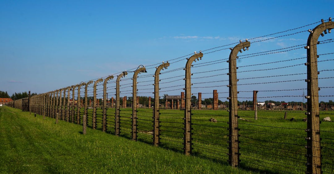 Electric Fence with Barbed Wire