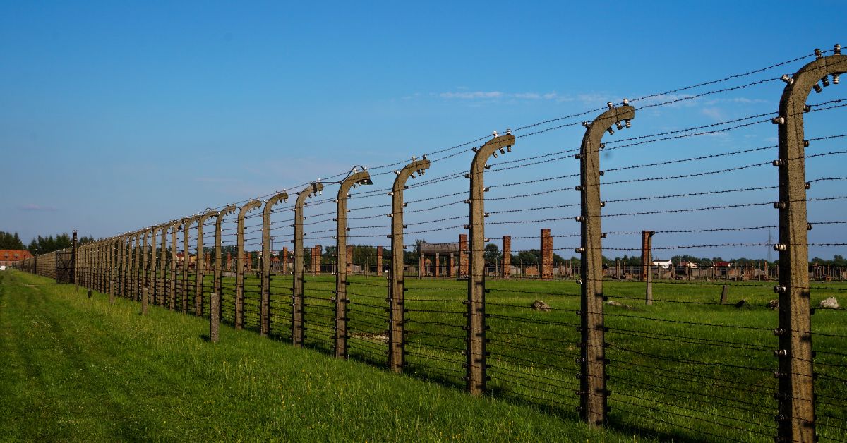 Electric Fence with Barbed Wire