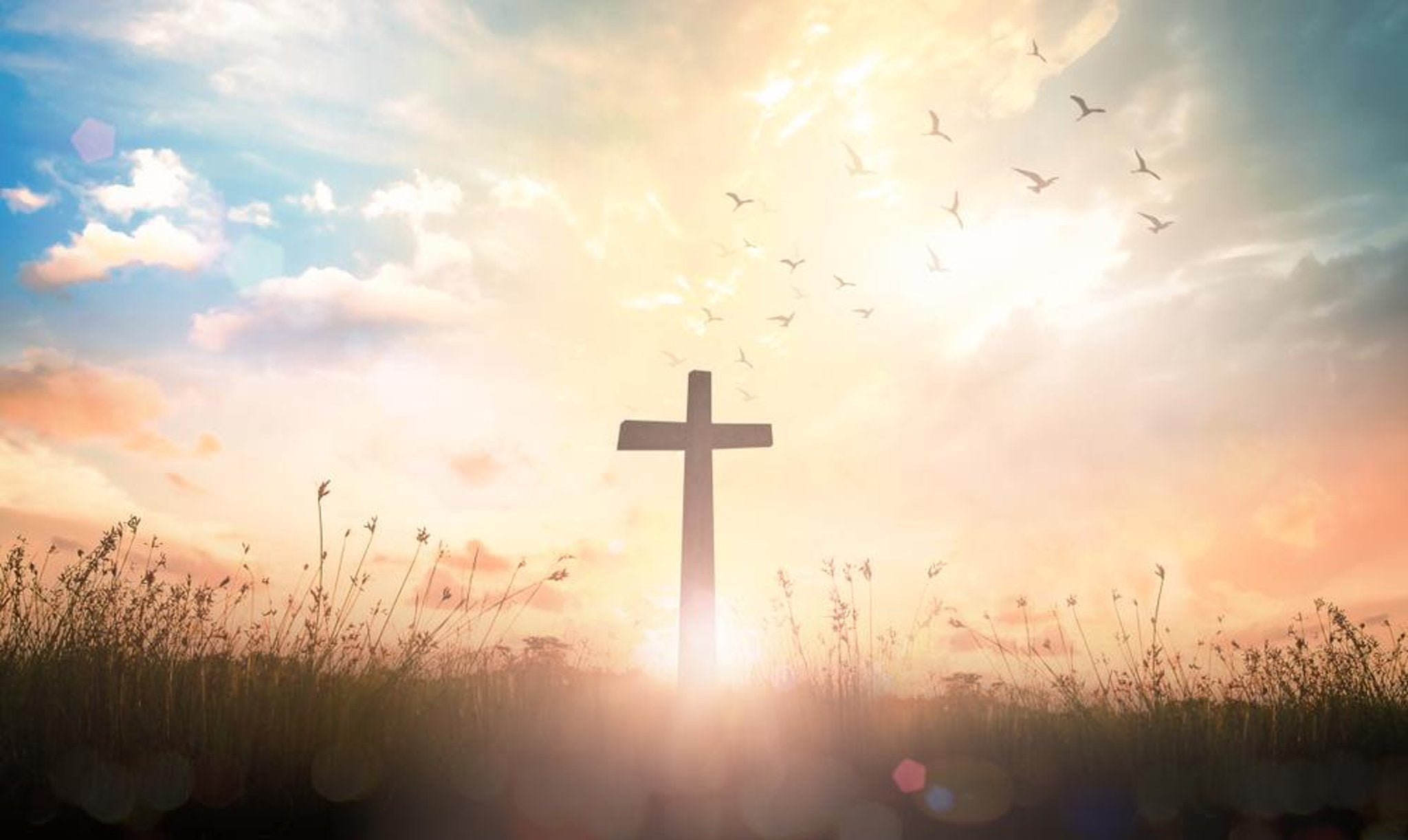 Finding Strength and Inspiration